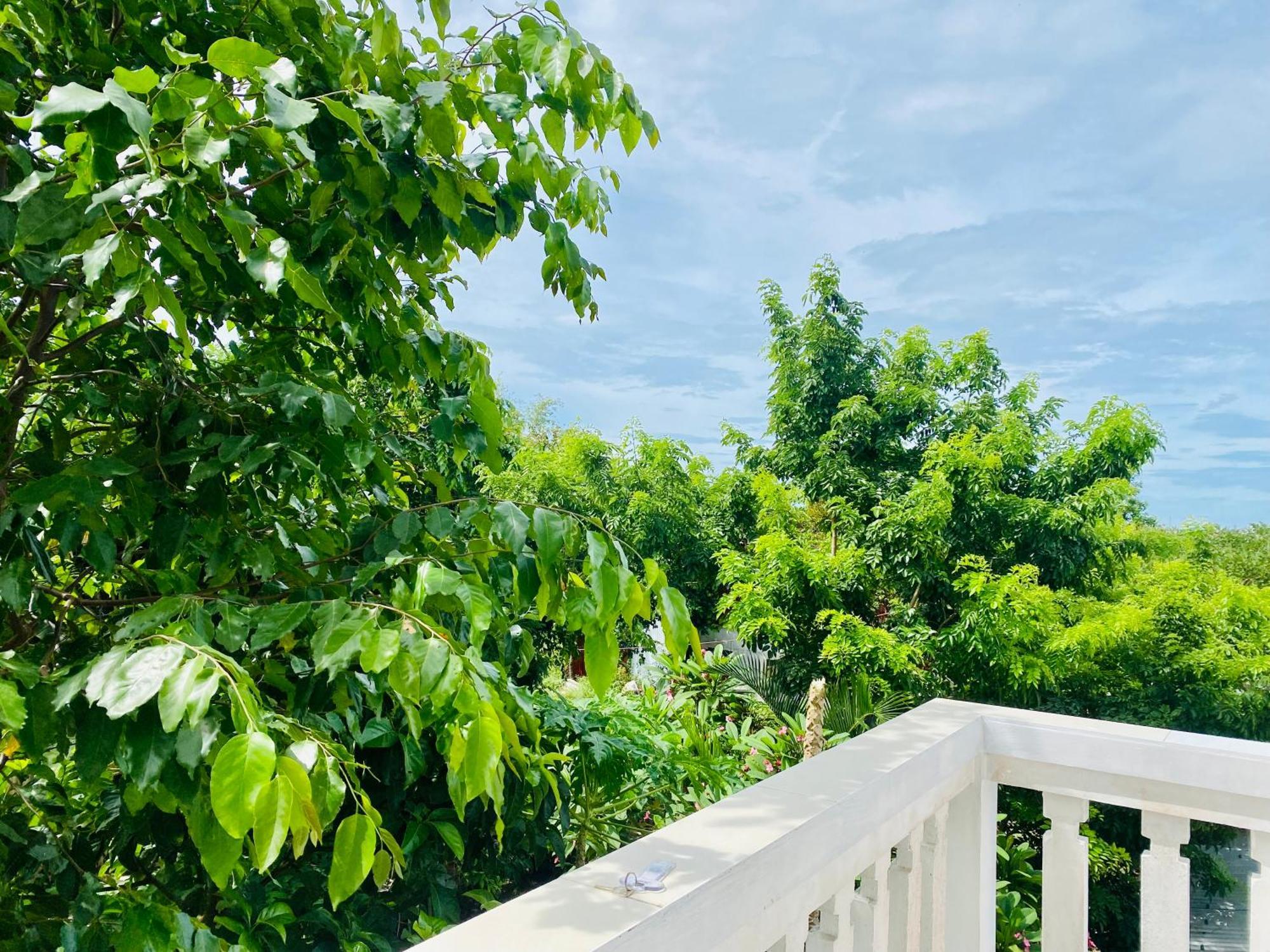 Rice River Villa - Hội An Extérieur photo