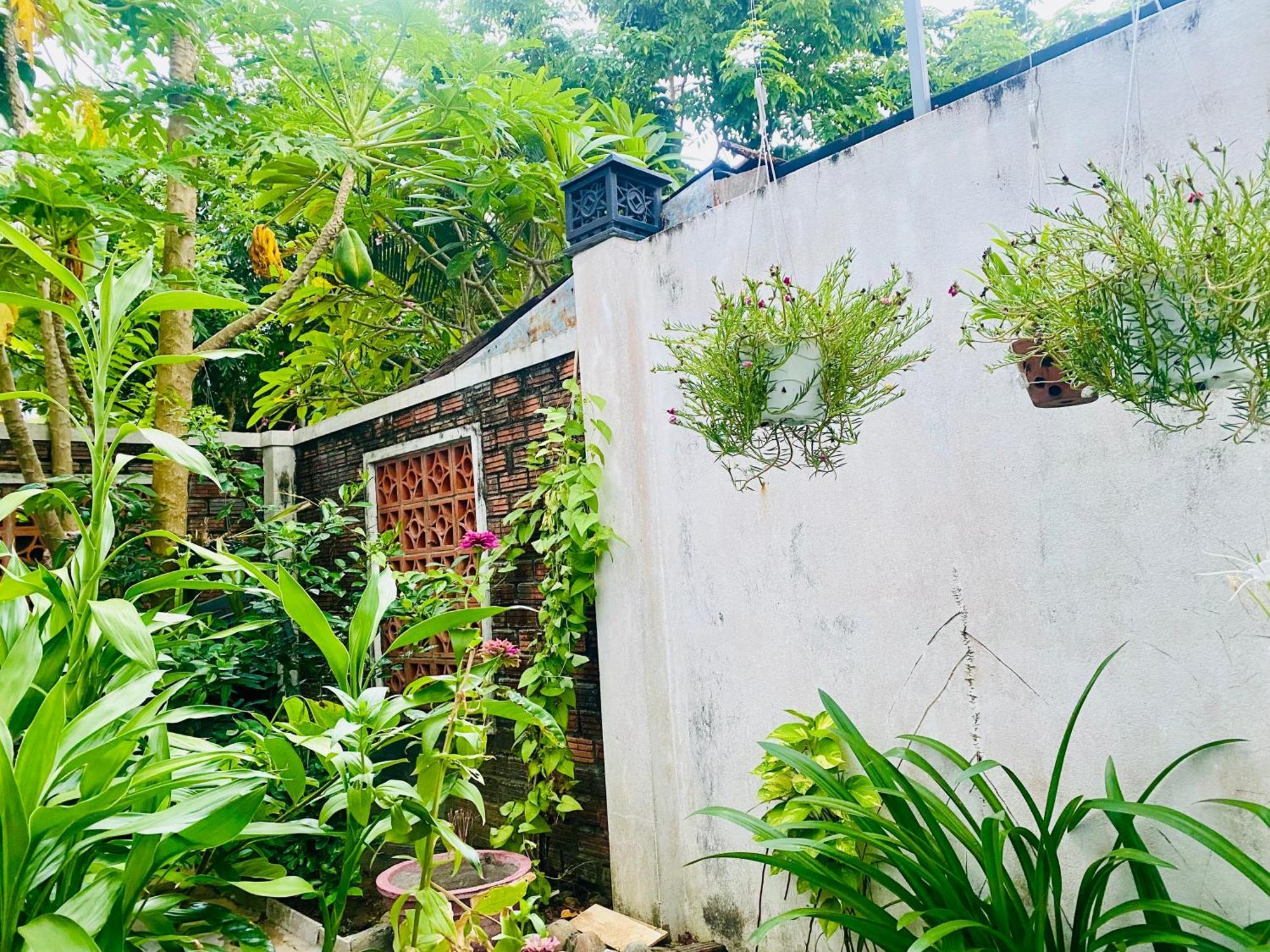 Rice River Villa - Hội An Extérieur photo